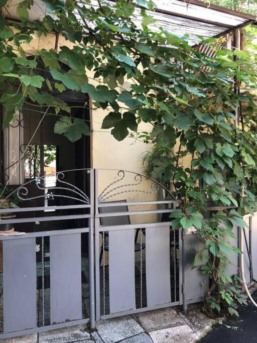 Nataly Apartament-Old Tbilisi Center Eksteriør bilde